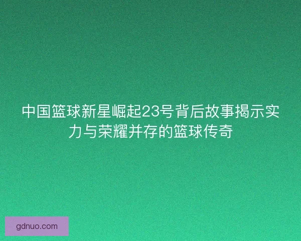 中国篮球新星崛起23号背后故事揭示实力与荣耀并存的篮球传奇